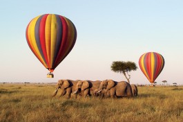 Ballon safaris 