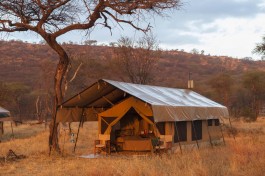 Serengeti tented camp 