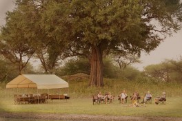 Camp setting 