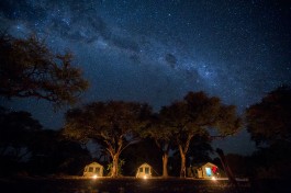 Camp tents 
