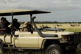 Game drive in Moremi 
