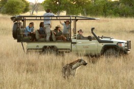 Vehiclehyena1 