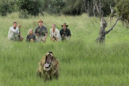 Walking safari 