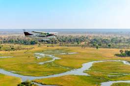 Inter Camp Flight Transfer 