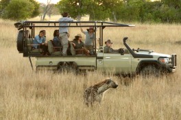 Vehicle hyena 