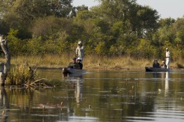 Mokoro trip 