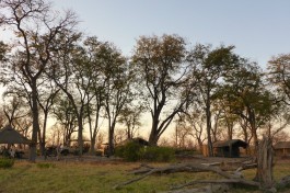 Camp Wilderness 