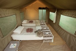 Twin Tent Interior  