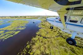 Light Aircraft Transfer in Botswana 