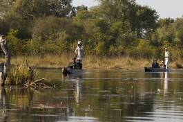 Guests on Mokoro 