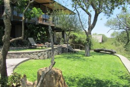 Gretaer Kruger Lodge, Balule Safari 
