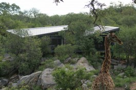 Balule Private Game Lodge 