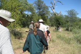 Balule walking safari  by Joe Ross