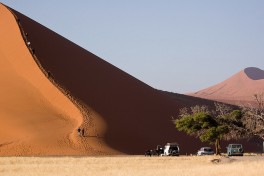 Dune 45  by Greg Willis