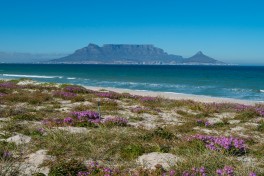 Cape Town 