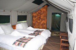 Delta accommodation 