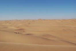 Swakopmund Dunes  by Joachim Huber