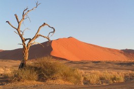 Sossusvlei  by Kevin Pluck