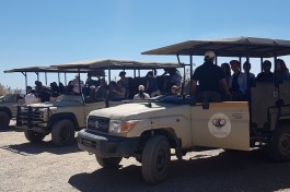 Inverdoorn Safari Vehicles  by Kostas Limitsios