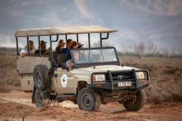 4x4 Safari vehicle, Inverdoorn  