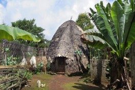 Dorze Beehive Hut  by David Stanley