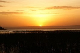 Lake awassa 