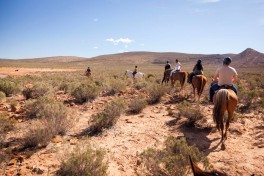 Aquila horseback safari 