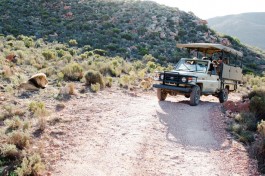 Aquila game drive 