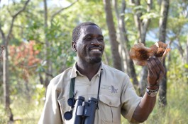 Malawi & Zambia Safari, Guided bush walk 
