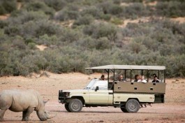 Aquila game drive, Big 5 Safari 