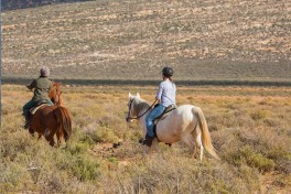 Cape Town Horseback Safari in Aquila 