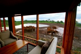 Aberdare safari lodge waterhole 