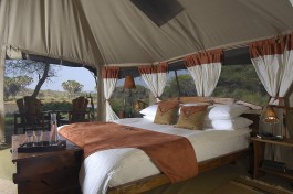 Elephant Bedroom Camp tent 