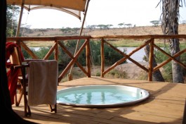 Elephant bedroom camp plunge pool 