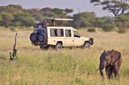 Budget Tanzania Safari vehicle 