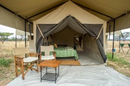 Serengeti safari lodge, Tanzania 
