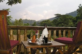 Buhoma view 