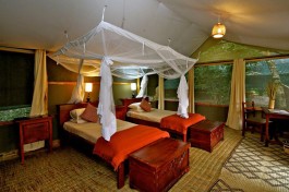 Ishasha twin room 