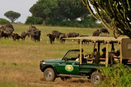 Mweya safari lodge safari drive-lo 