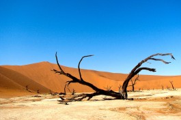Sossusvlei 