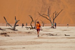 Namibia sossusvlei walk 