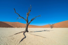 Namibia sossusvlei 