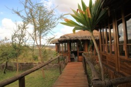Ngorongoro Lodge 