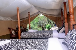 Room interior 