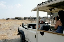 Safari vehicle at elephant waterhole 