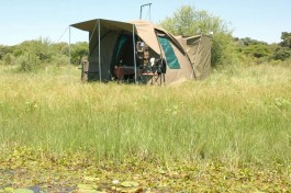 Botswana Safari Camping tent 