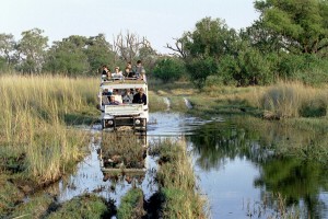 Water crossing in safari vehicle