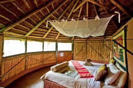 Double reed hut 