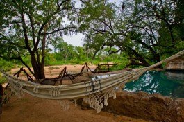 Hammock 
