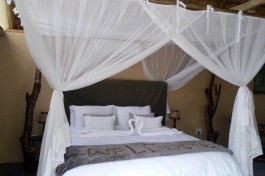 Private Tented Lodge Safari room 